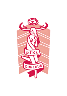 bike-curious-2012-digital
